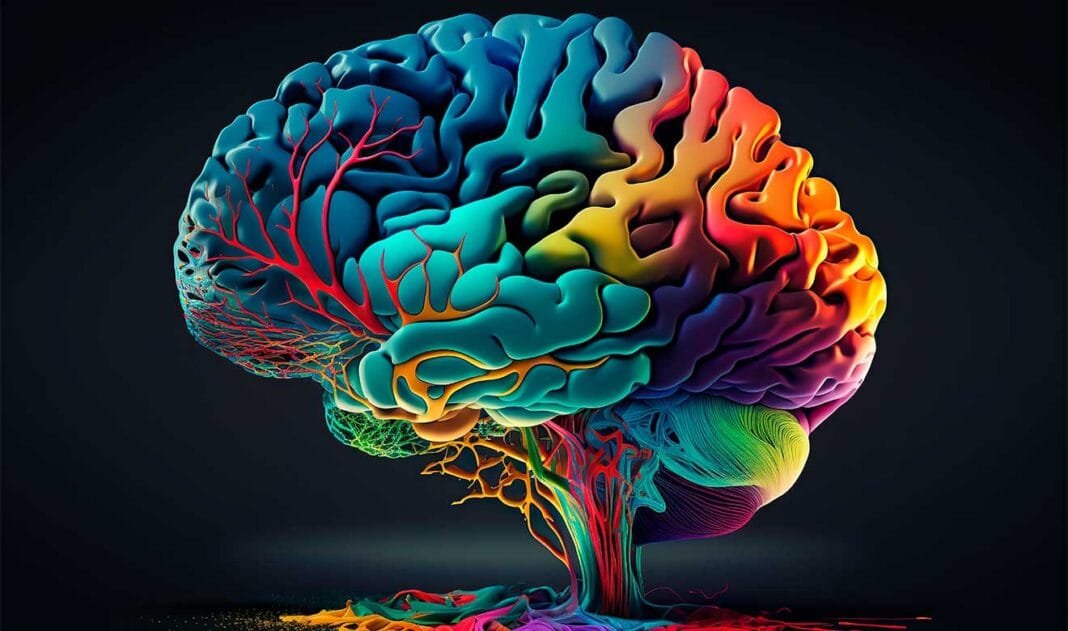 Imagen de la actividad cerebral con colores
