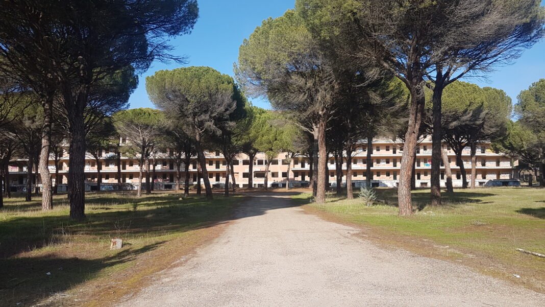 Edificio semiabandonado rodeado de árboles en el bosque.