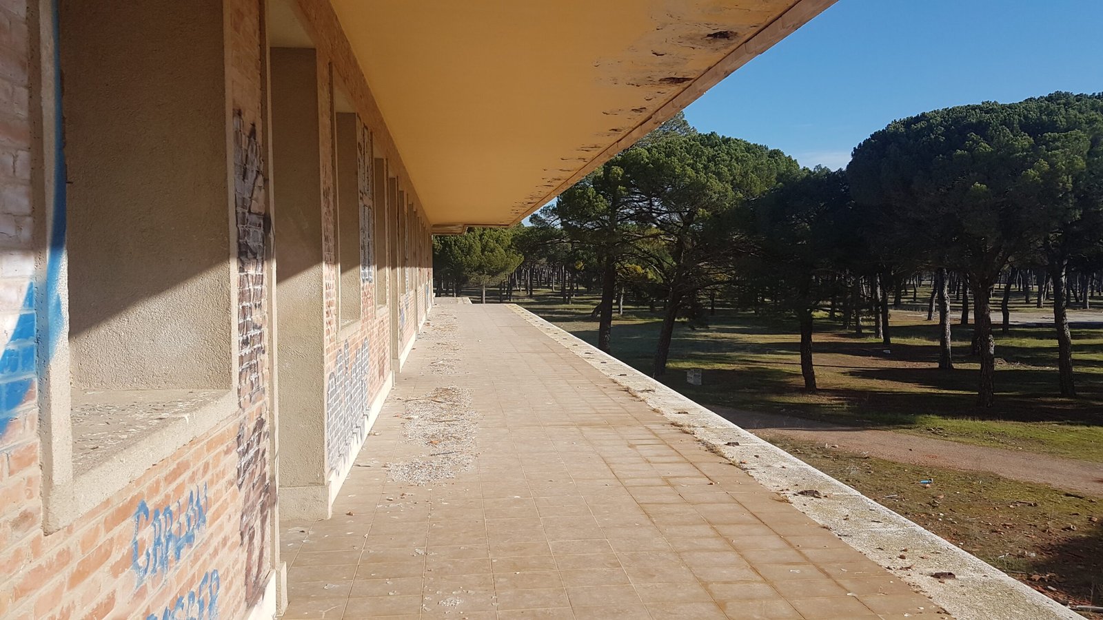 Edificio abandonado junto a bosque y cielo azul.